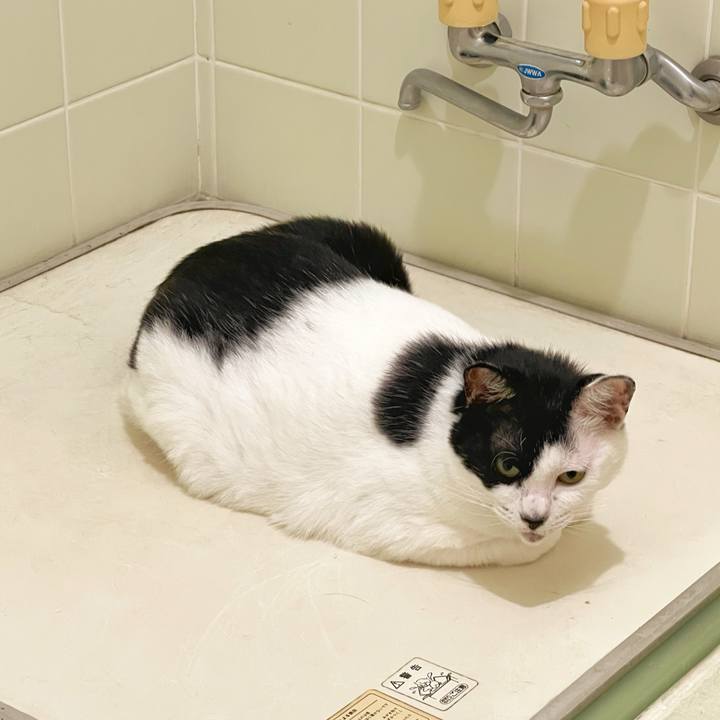 7d0a73ed e604 4db6 99b1 211bfafd7138 1758494884025