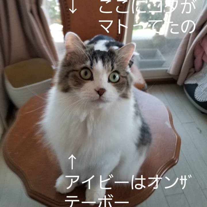 7d0a7cc8 d9e9 4470 866b 5ac8645b82c8 1540503620415