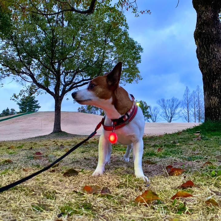 7d0a81e4 7550 41c3 a9d5 3602ef2f2a75 1584622577441