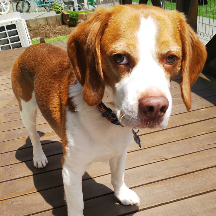 7d0a94c9 ff19 48d4 86ff 431768c62590 1591070367575