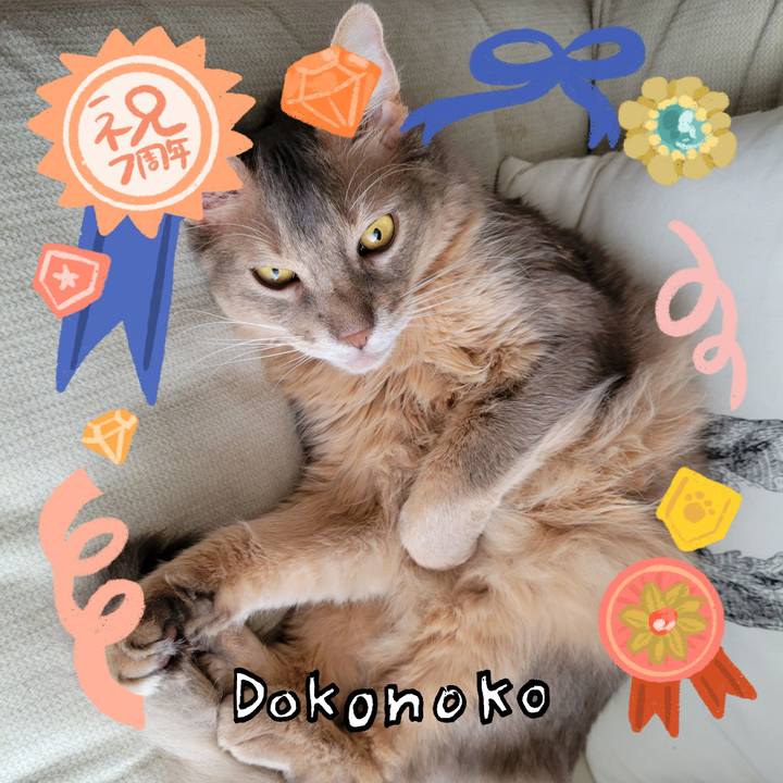 7d0ab6a9 87f0 470c 855f b05e262a3aad 1685934316809