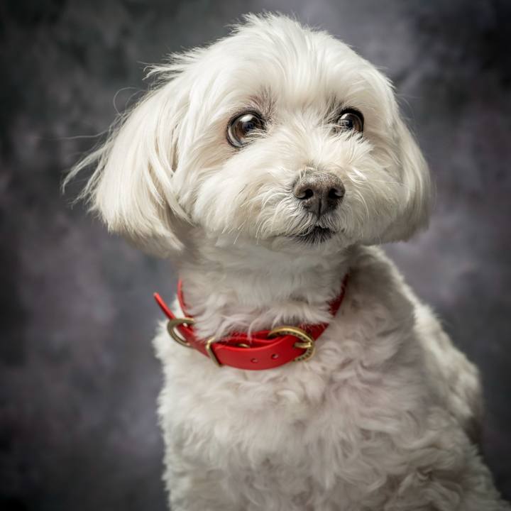 7d0ae8d1 5ae6 484c a8db 556260dae7a2 1775348487488