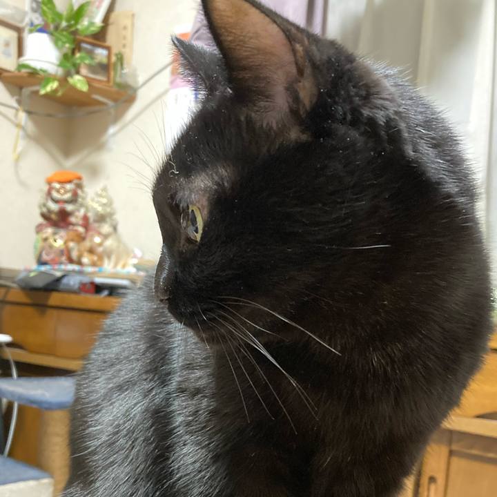 7d0b2bad 5019 4c8c a270 7493e0b21ad8 1768306149276