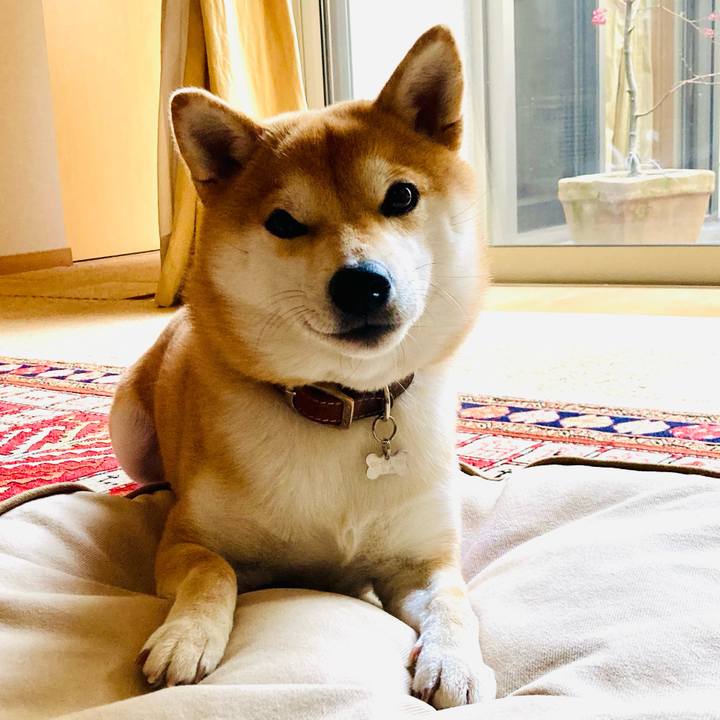 7d0b48d2 c10f 483e 8441 6ff8275f77be 1703291117983