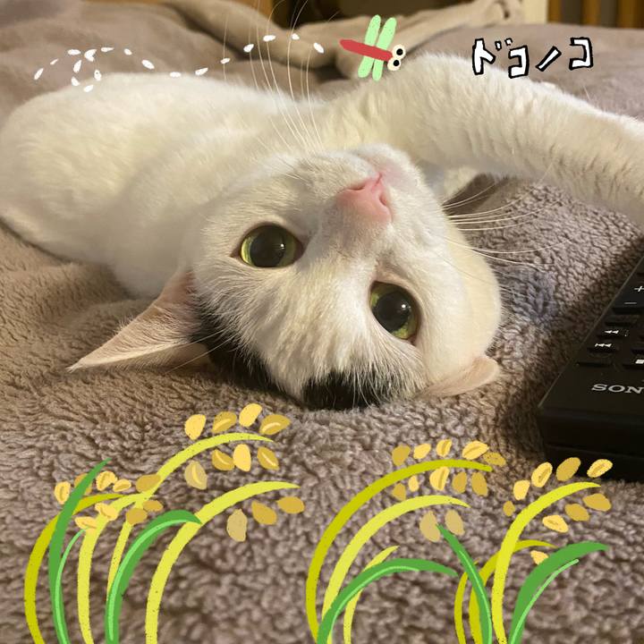 7d0b5232 1366 4a13 aa4f 13a35983c791 1761525399479