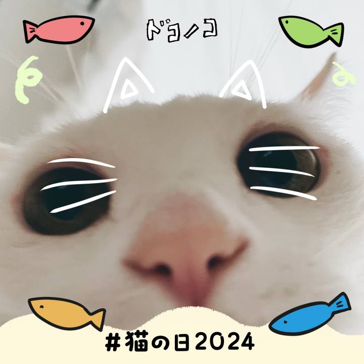 7d0b73df de3c 4e58 a31c 984e573e8807 1708567673850