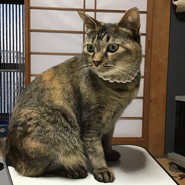 7d0bc539 d06e 4b56 aaeb 7af167249453 1688644562867