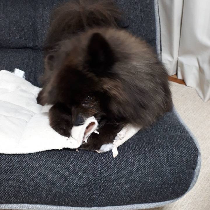 7d0bd2c8 940d 4273 9da4 ea85fc1c7fc9 1520717170610