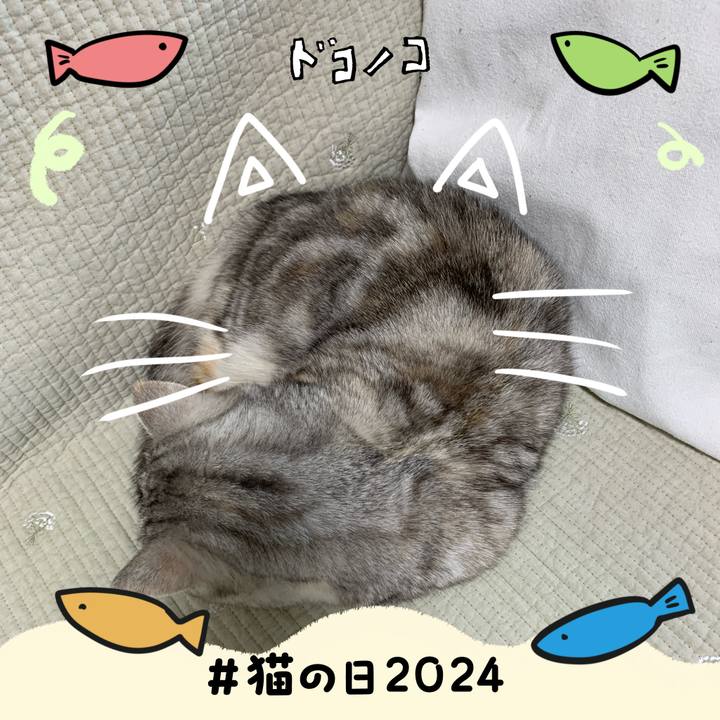 7d0bd459 7eeb 4fea b5cb 571acf9654c2 1708581848347