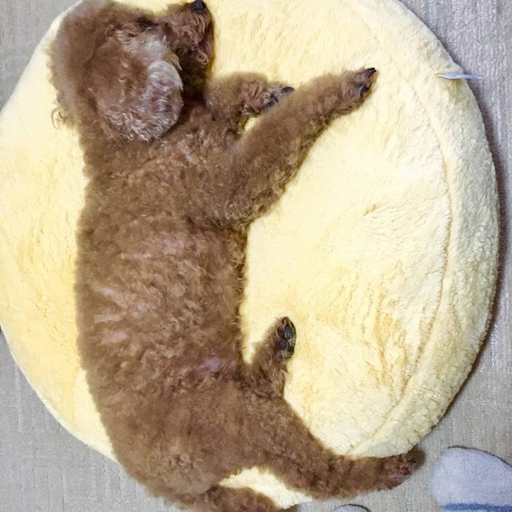 7d0bed12 e644 4fa3 a56a c696b56f53a6 1578645409342