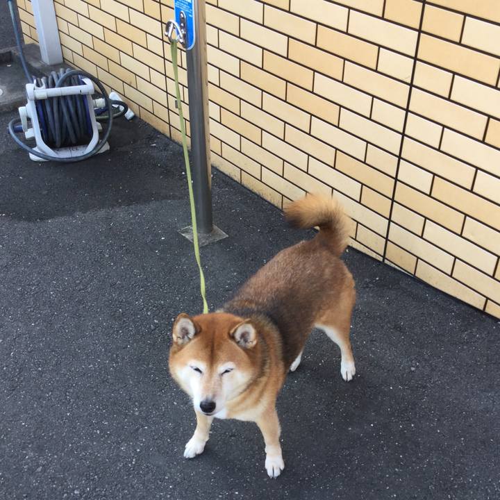 7d0bf924 f00b 4efb acce c0a7c25afd02 1605583317714