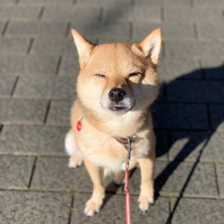 7d0c0f61 b1e5 4654 a110 87205ff77b90 1768195038351