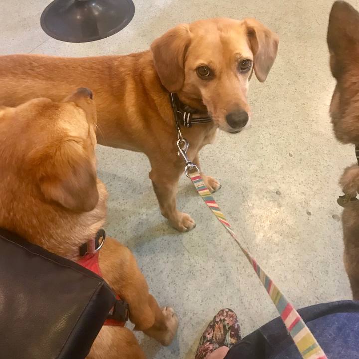 7d0c1664 2571 4615 b9a8 c420ebe9a6ed 1554552418651