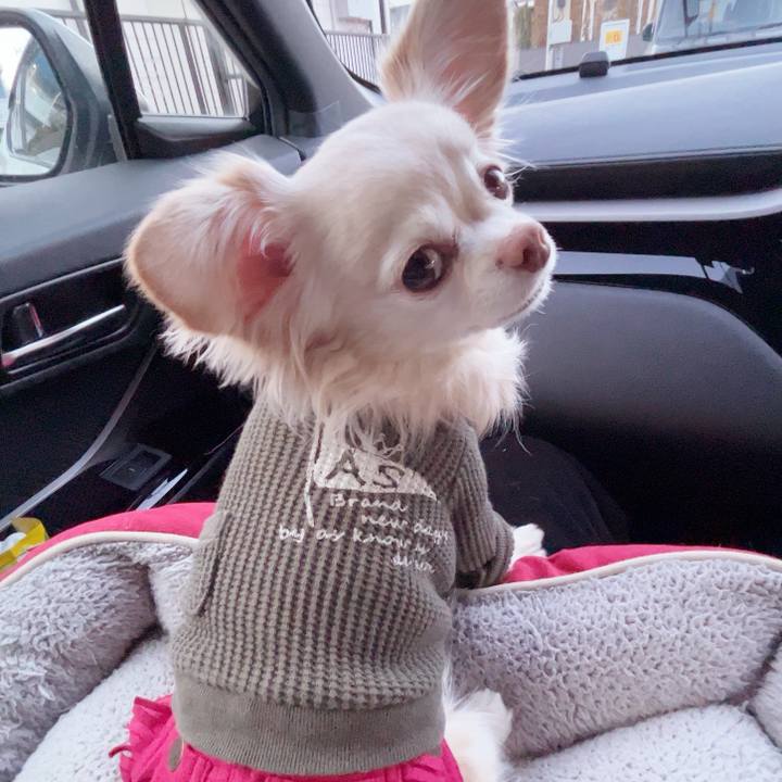 7d0c1eed 69af 44a2 a202 a54600e6fe07 1737791499350