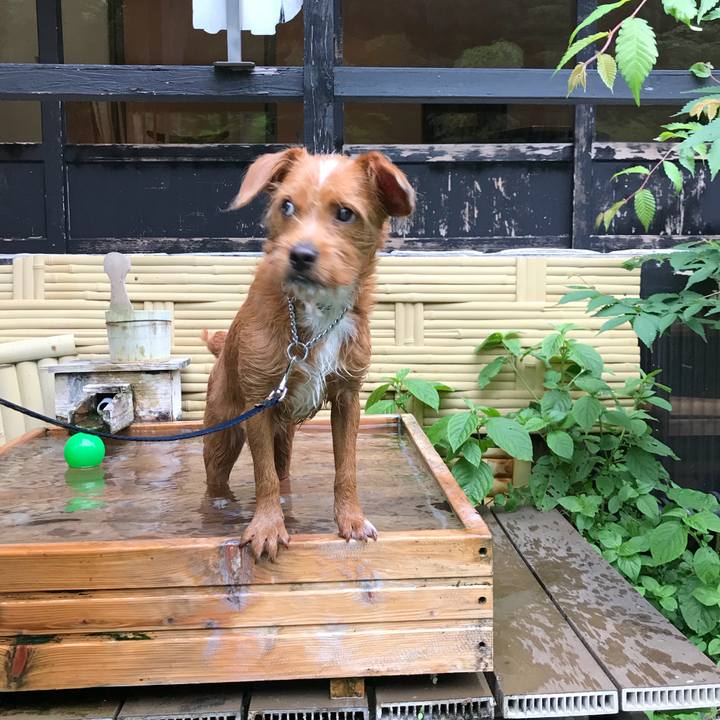 7d0c482c e1ca 48a0 a950 f9fa6fd54067 1529065487376