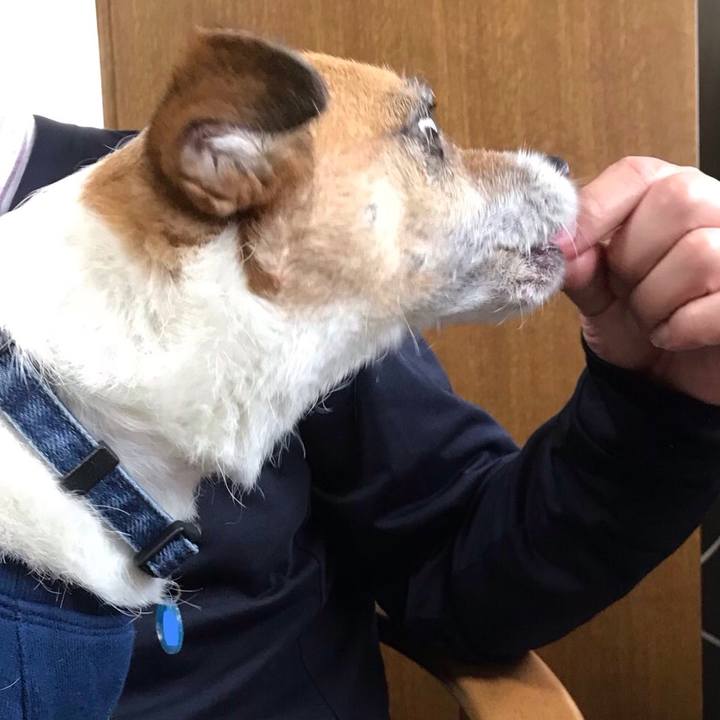 7d0c61e9 c14f 44fd a9fa ee37dbac156c 1556258409711