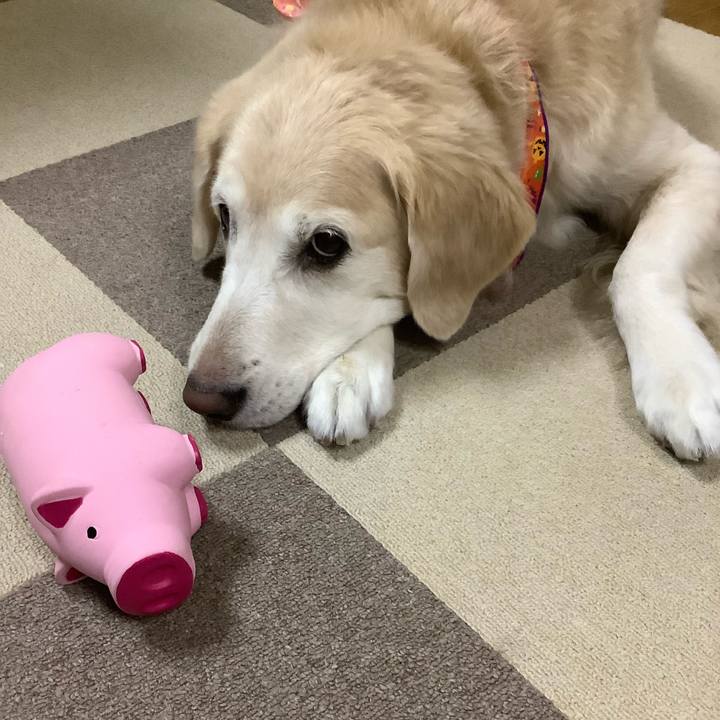 7d0c88e9 7e34 4683 bca9 e57377638bb6 1635111325973