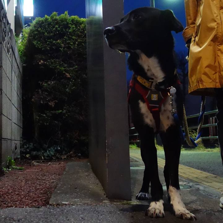 7d0c8b1f e9a7 4b64 9687 f85d07d672f8 1585832941011