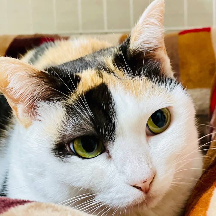 7d0ca5c9 cf5a 4167 a858 04c23deae216 1607739036972