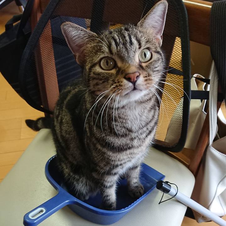 7d0cae67 7917 4944 834a 79f3946dff59 1594793271141