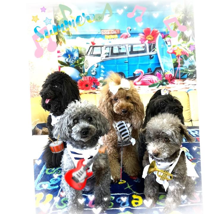 7d0d11d8 8ec1 4f10 9671 b71d24140e6a 1755248414696