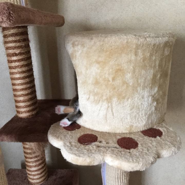 7d0d4305 6c94 4ca8 8117 b8fcbf17d3a9 1628653494279