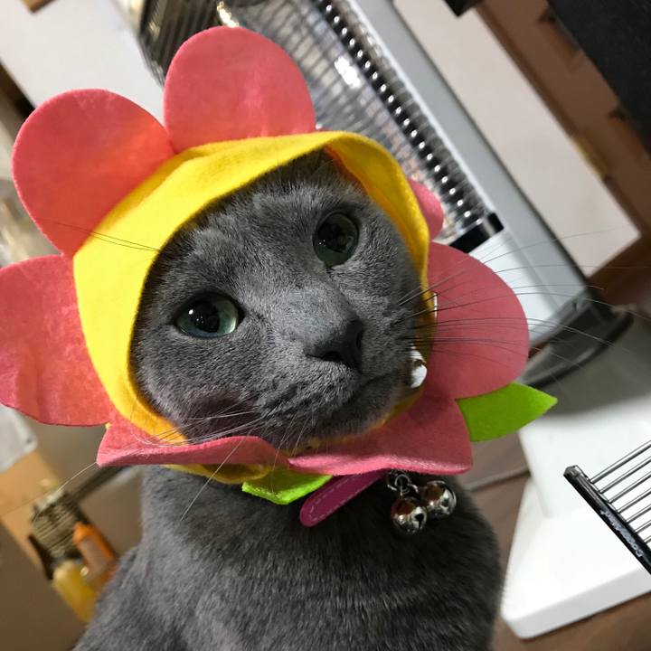 7d0d49d7 1c45 4f47 9b7f 6a443b8018fe 1516965368744