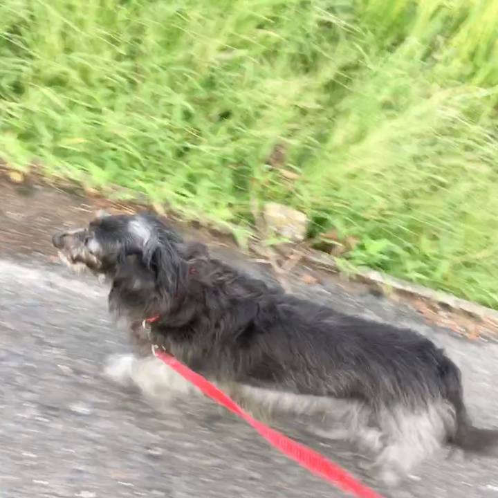 7d0d4d36 5045 4084 8856 2e6345dc01af 1537396882538