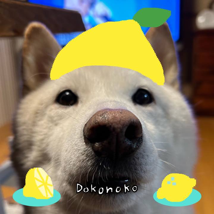 7d0d5585 f5e1 40d9 9afb 972ee57357e5 1741425315858