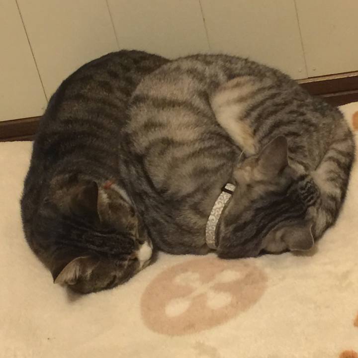 7d0d8163 a32d 46a2 87d4 cdab84575447 1555494314812