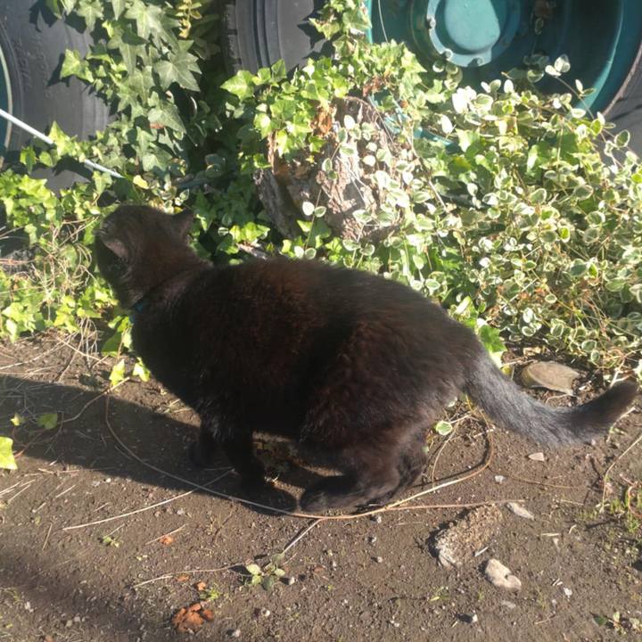 7d0d95cc dcf9 4daa bb08 9118131fa0e7 1762225341532