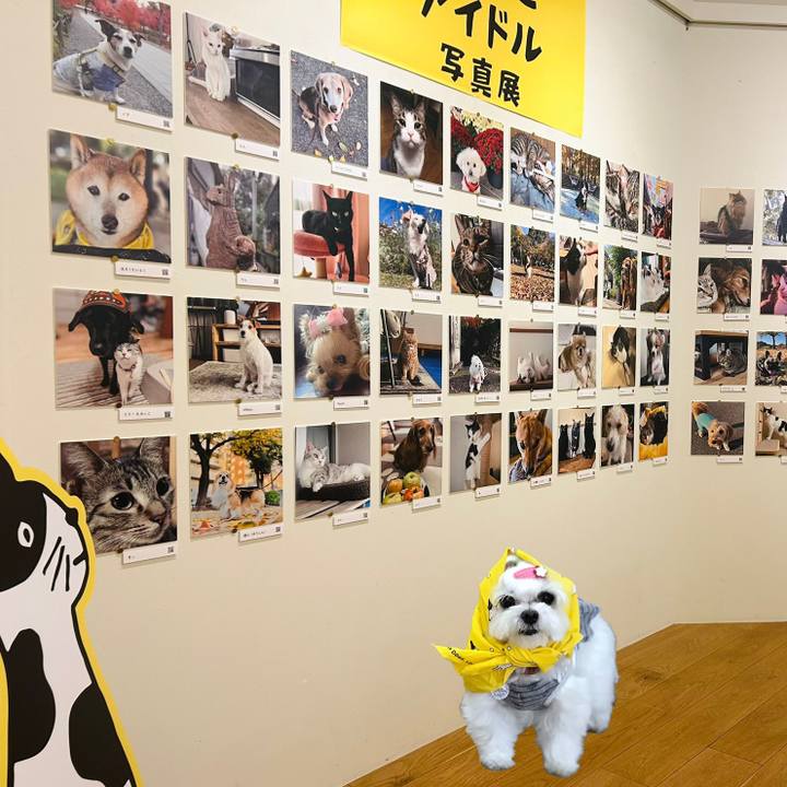 7d0dc5a6 0a8c 4e9a aa46 682b984acda9 1765638522672