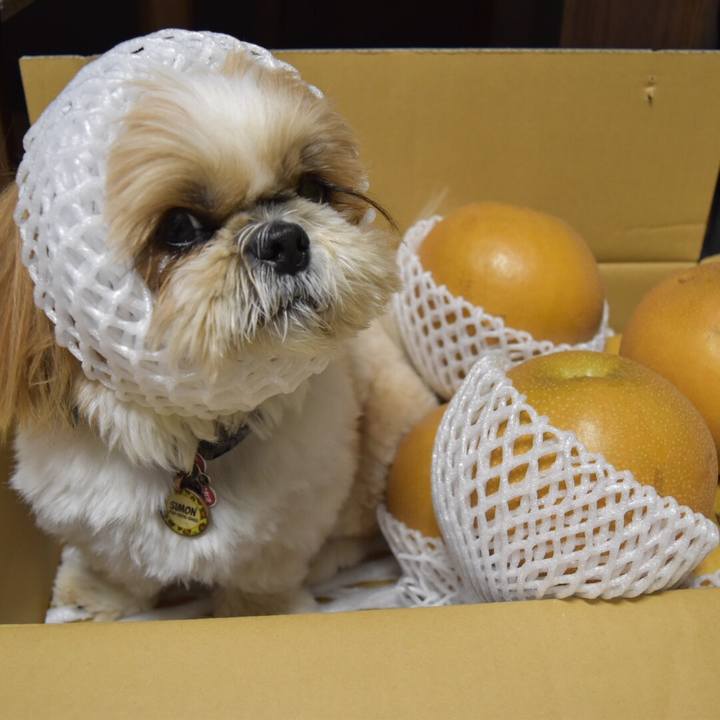 7d0dd6c7 5ff9 415d 954b 10b0436cdfa8 1509190018412