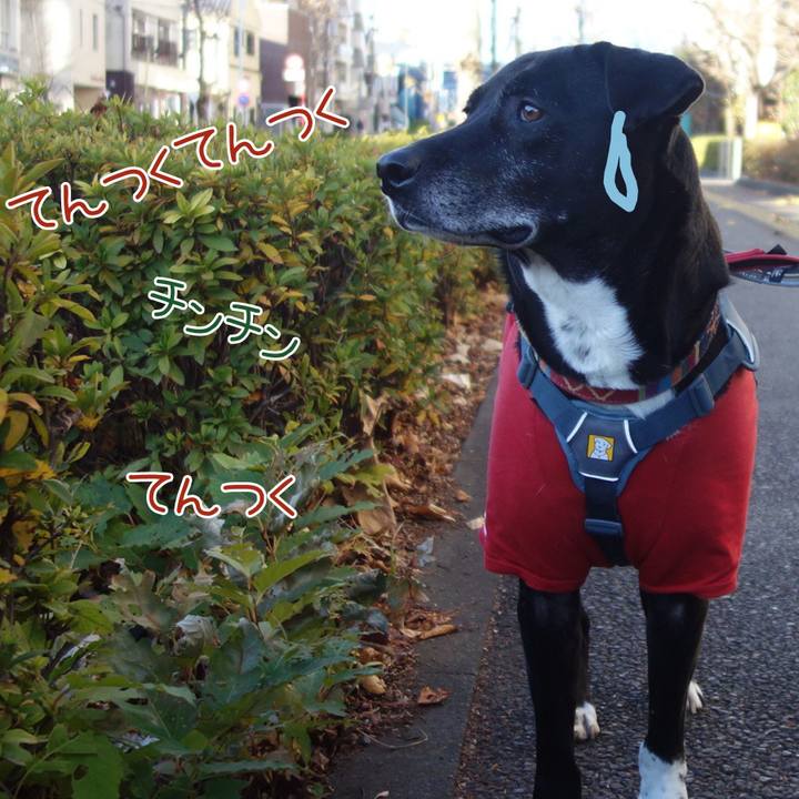 7d0e01ee f3ec 49b5 aa42 b3217fc7d8e1 1704071925412