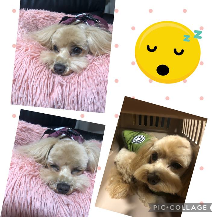 7d0e1b8e ccb4 4812 9c7a 9414fc4504ed 1645264840733