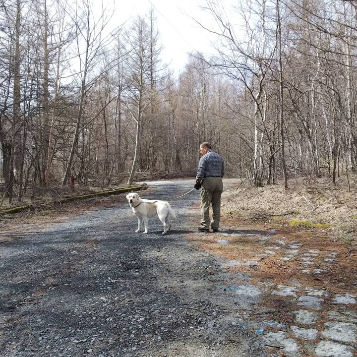 7d0e1dc6 94dc 4d8d 9a8a 5337bdaa639a 1556416649831