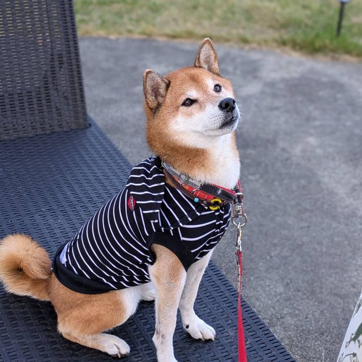 7d0e4da0 1479 45f7 8b20 aeb7624e8aae 1730460460763