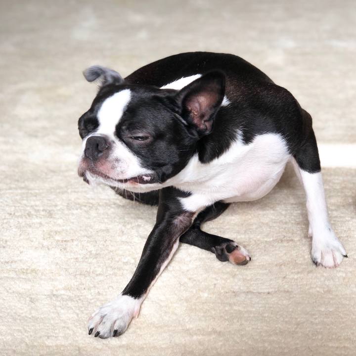 7d0ea5ec 1d08 4e82 bf67 86bfaafdffe4 1533599349462