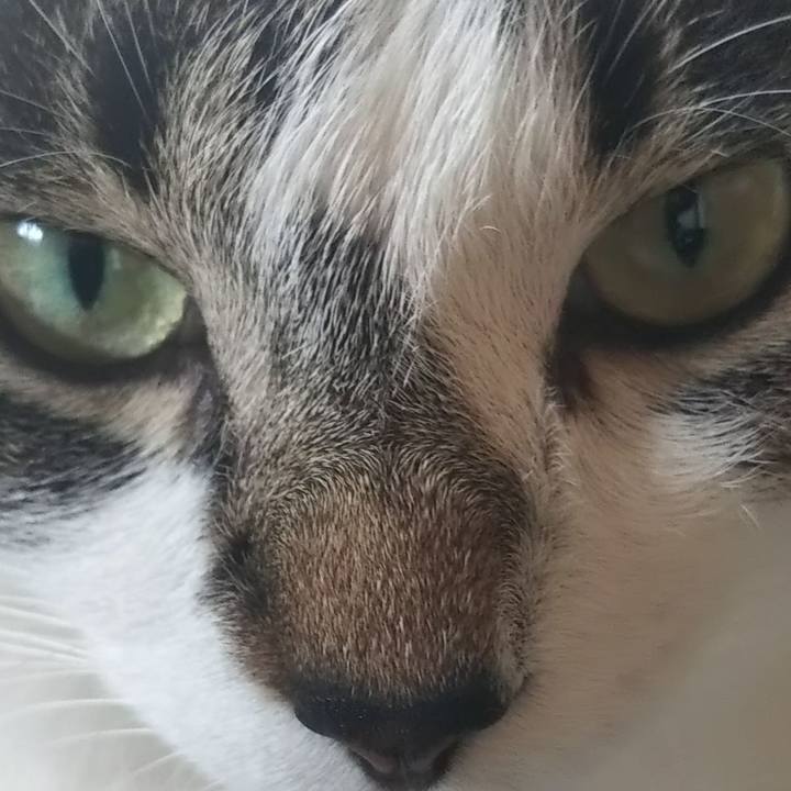 7d0ec7b7 438d 43cb 9515 0188a51c42e7 1602252397998