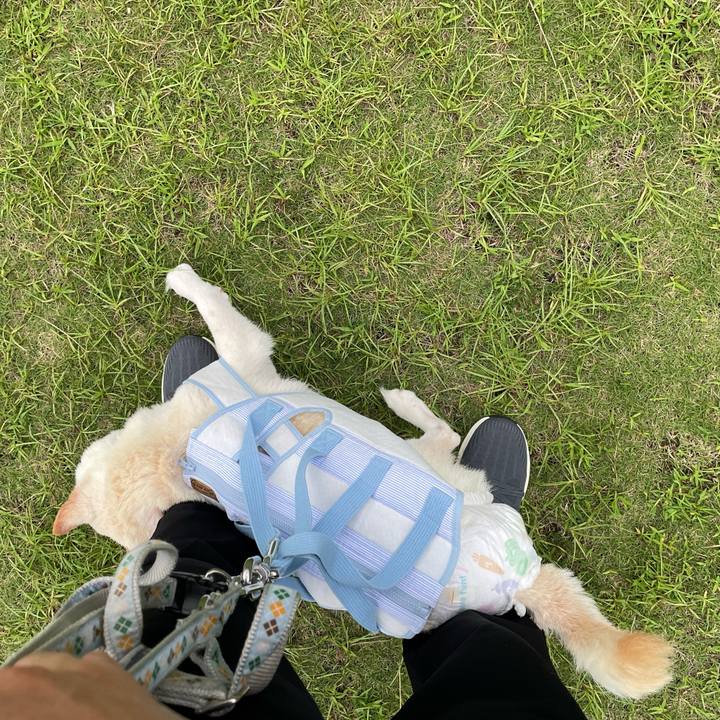 7d0ec981 219c 4120 8800 c8853ed3fde2 1663488372179