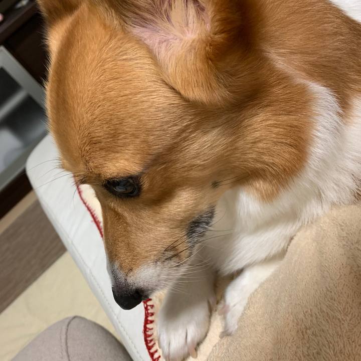 7d0f000b 8deb 409b bf51 cff4a592f02d 1597014133221