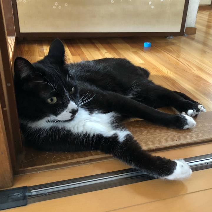 7d0f01c6 7458 4ea5 8f2e e1c8a02d3694 1623641768125