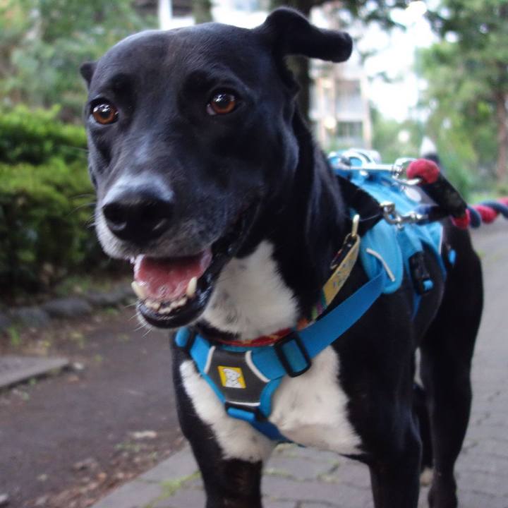 7d0f0744 4bfd 44cb 9135 e4285d6ea97d 1622544318903