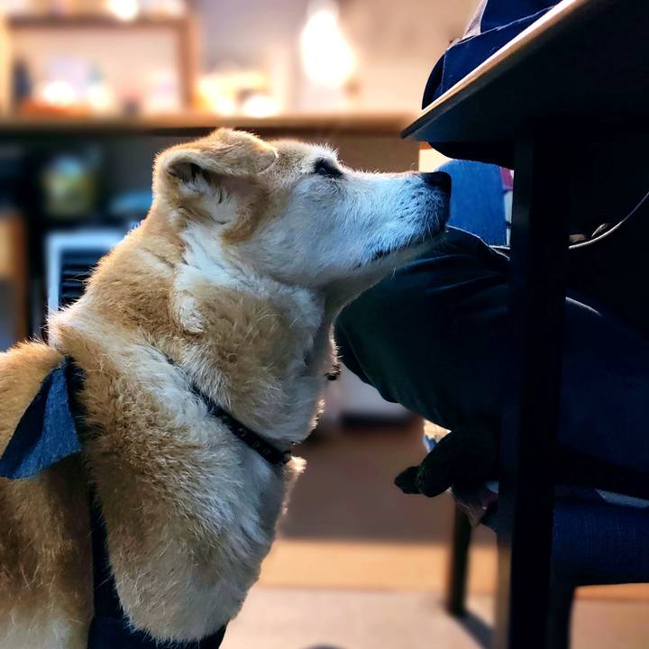 7d0f086a 395f 46d0 8bc6 f07c019757b2 1671488011257