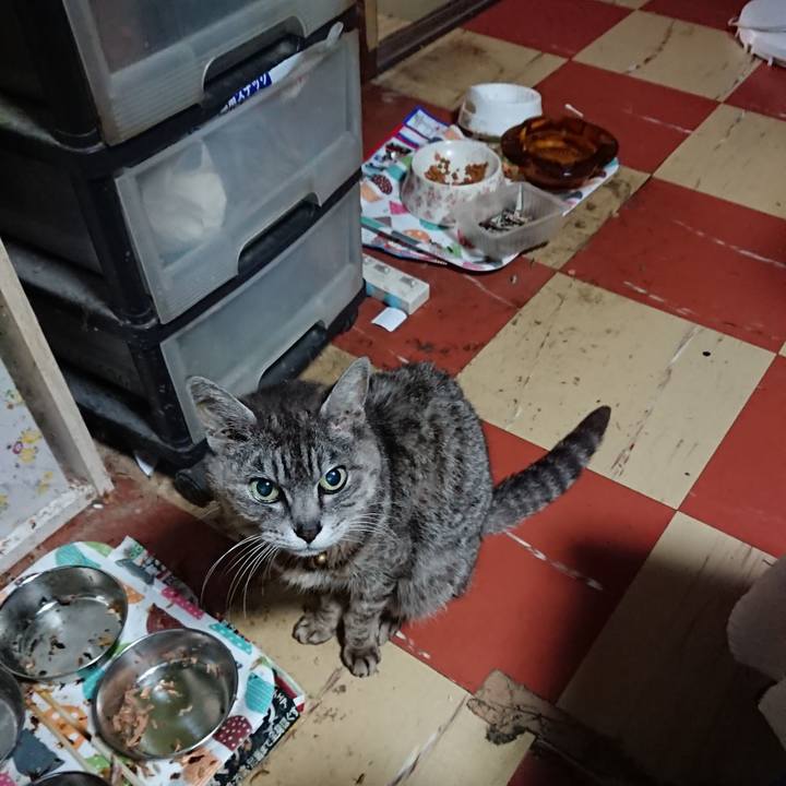 7d0f2ab0 0e3d 418a 932e f570727fc26e 1592940568538