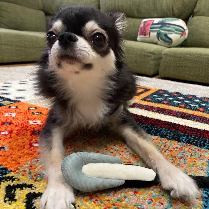 7d0f2b5e e990 41d4 9db3 d2c8d8e94213 1685806956394