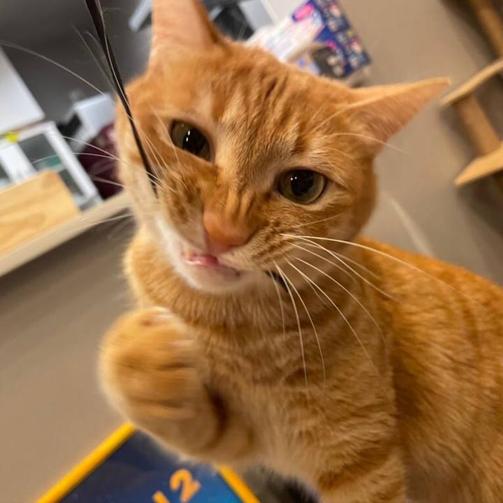 7d0f326c 5c22 4020 a153 c028064aed26 1648597357045