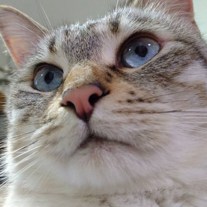 7d0f45a9 247f 46bd 8032 70c01966bbcf 1621772635068