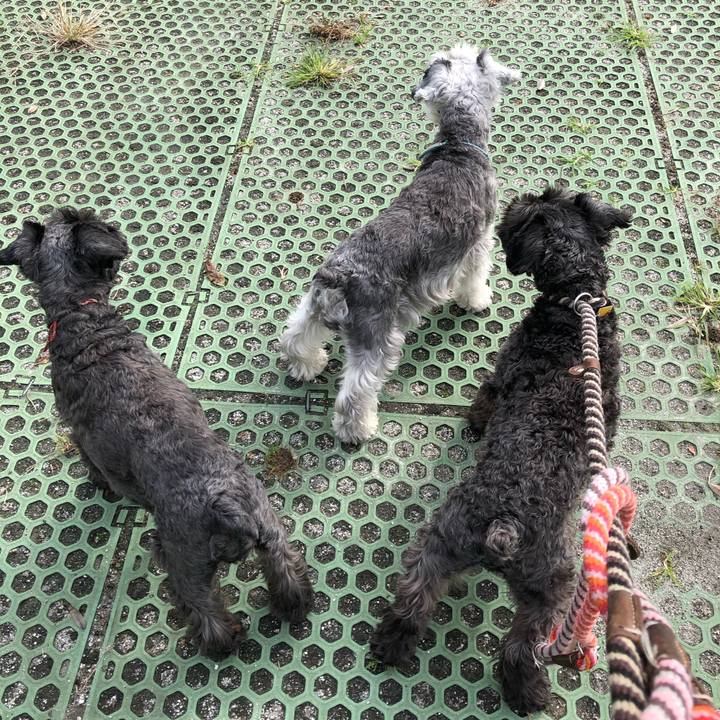 7d0f5158 457e 4de8 b202 924dd8592aa0 1572064578792