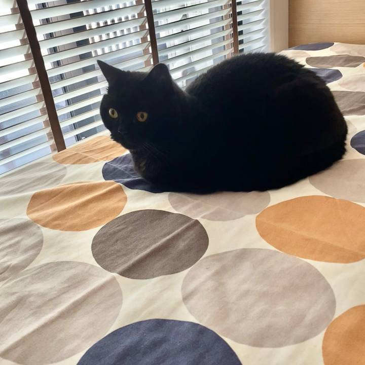 7d0f67a0 c727 4d12 b470 9b9e1584b7c2 1759449024586